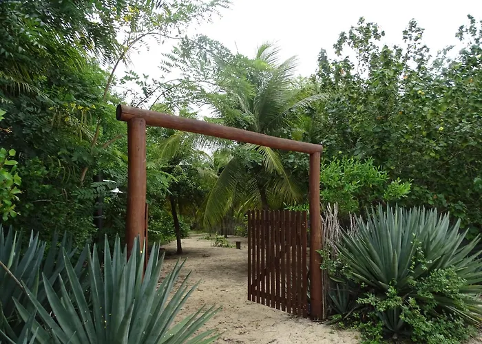Jungle House