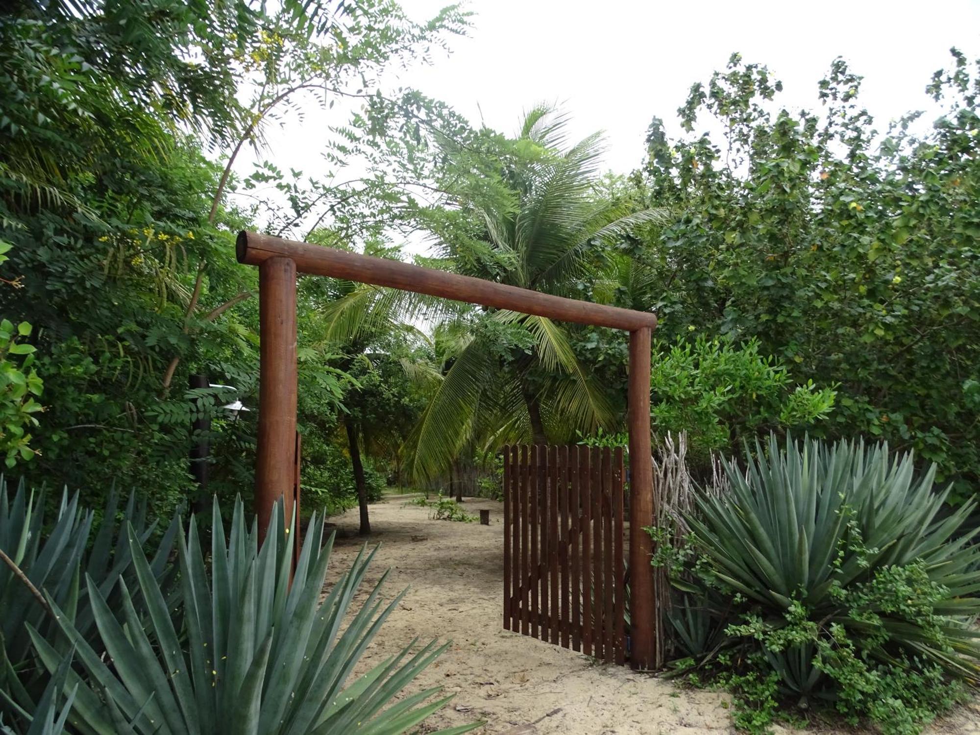 Jungle House Sao Miguel do Gostoso