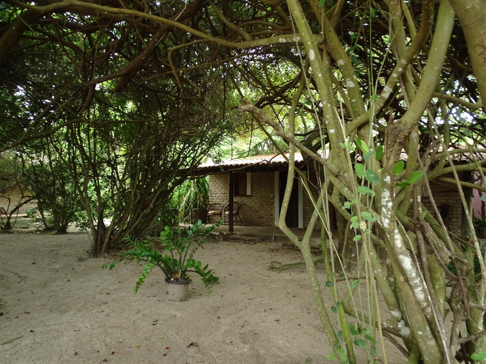 Inn Jungle House Sao Miguel do Gostoso