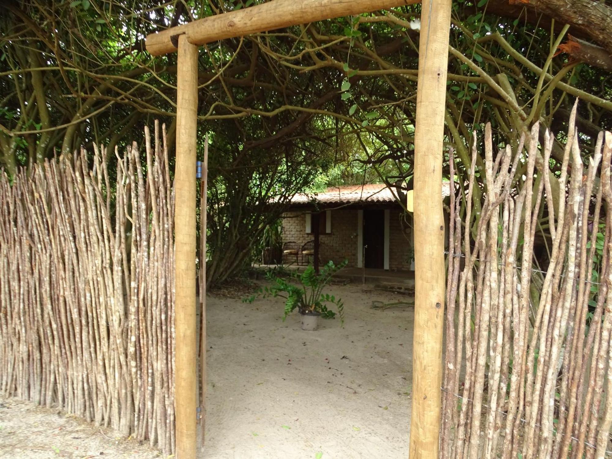 Jungle House *