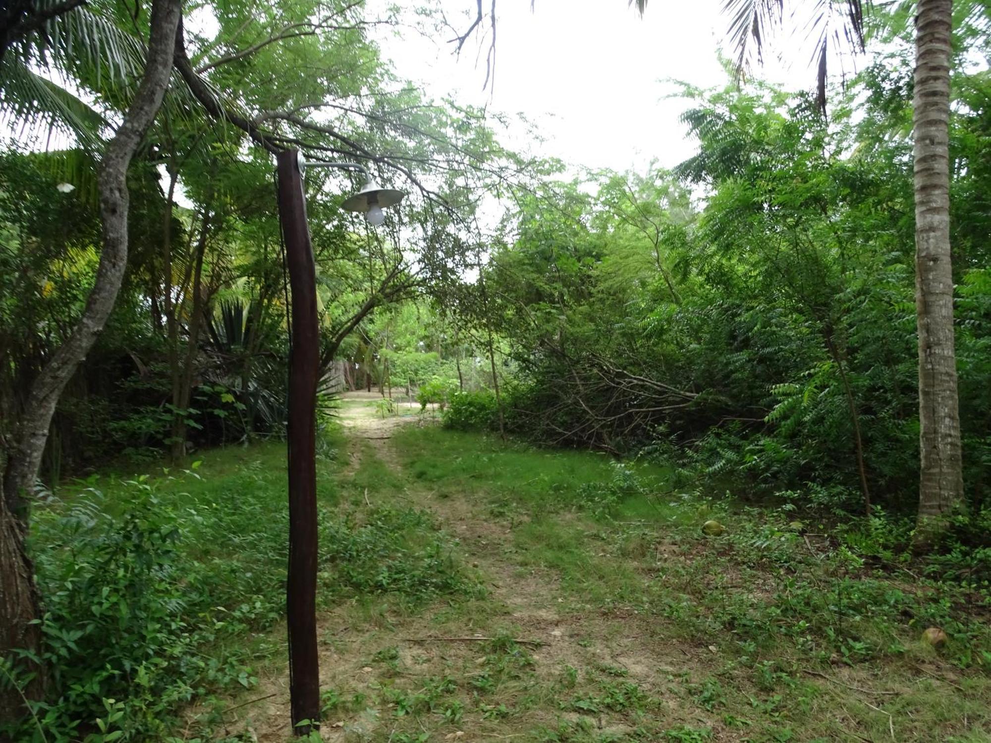 Jungle House Inn *